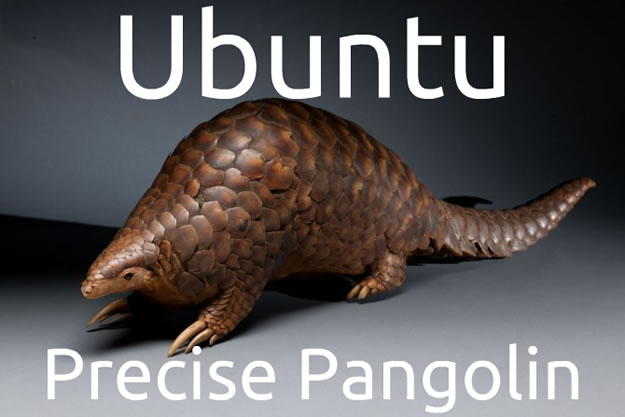 pangolin